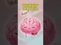 Why sad songs feel good #psychology #brainfacts #musicpsychology #shorts #brainbites