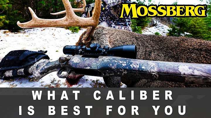 Choosing The Right Caliber Rifle