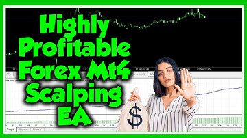Best Forex Scalping Robot 🤑Profitable Expert Adviser🤑