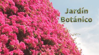 JARDÍN BOTÁNICO de BARCELONA  4K  | nature walk