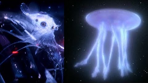 Farpoint Space Jellifish in TNG vs Star Trek Picard Comparison