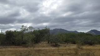 Paseo en la brecha Boca Del Alamo, Baja California Sur