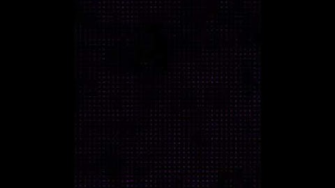 Early Universe Simulation