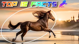 Amazing Horse Facts You Didn't Know | Top 15 Interesting Facts About Horses