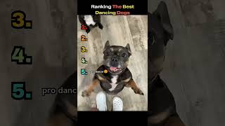 Ranking The Best Dancing Dogs 🐶💃#dogranking #dancingdogs #funnydogs