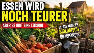 Warum Selbstversorgung plötzlich kein Hobby mehr ist