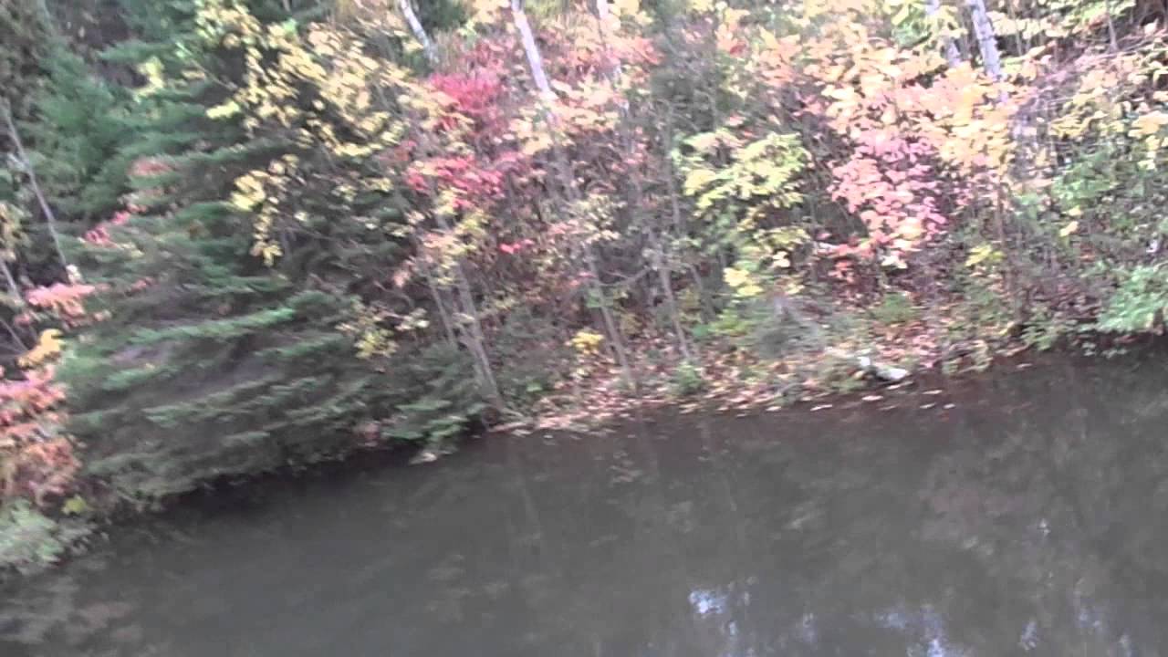 Ziplining in Michigan