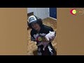 Ultimate Funny Farm Animal Compilation 2025 😂🐐 | Try Not to Laugh!
