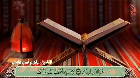 تلاوات يمانية من سورة الحشر بصوت القارئ/إبراهيم أمين غابش