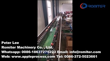 Automatic Apple Washing Weight Sorting Grading Production Line