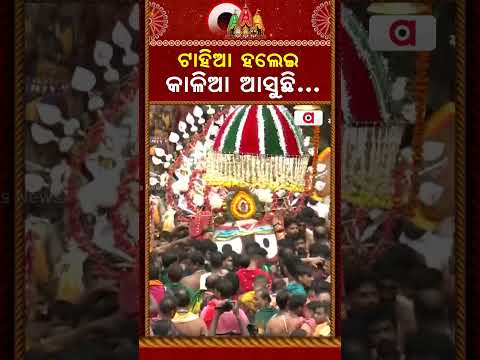 ଟାହିଆ ହଲେଇ କାଳିଆ ଆସୁଛି...| Lord Jagannath Pahandi | Bahuda Yatra 2026 | Argus News