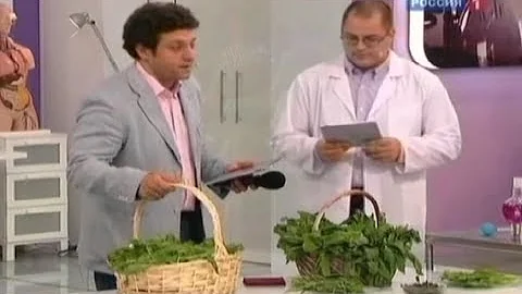 Щавель польза и вред. Правильное выращивание и приготовление
