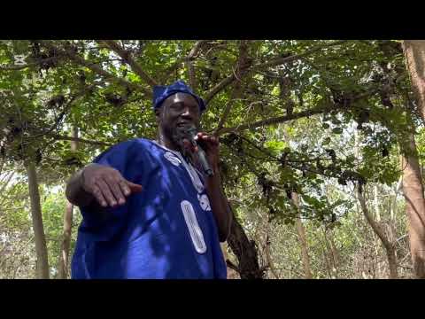 Using IRA And PANHAN Trees To Treat Mouth Odor Blood Infections Chronic Typhoid And Mouth Cancer