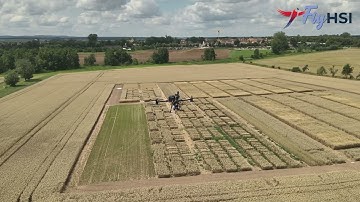 We fly for you: FlyHSI // Hyperspectral Imaging // Drone flights with Headwall sensors