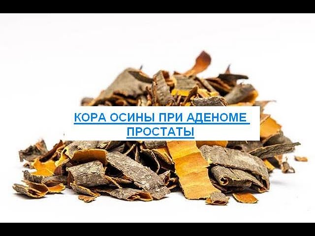 Кора осины для здоровья Мужчин !лечения простатита: рецепты, лечебные свойства...