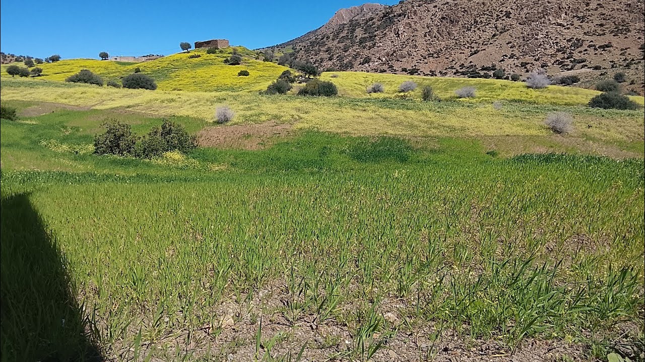 مرحبا بيكم خوتي لعزاز في قناة مريم الفيلالية 