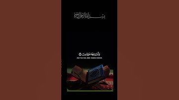 #القرآن الكريم _أجر لي ولكم _أرح سمعك وقلبك _أكتب شيء تؤجر عليه #🦋🌹🌿🤍