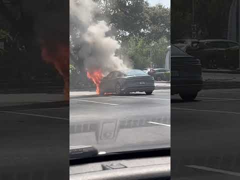 Lucid Air catches on fire!