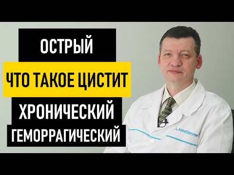 Что такое цистит: симптомы и признаки. Острый, хронический (цистит то есть то нет) и геморрагический