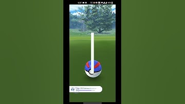 Shiny Eevee caught in the wild Community day special || Pokemon Go