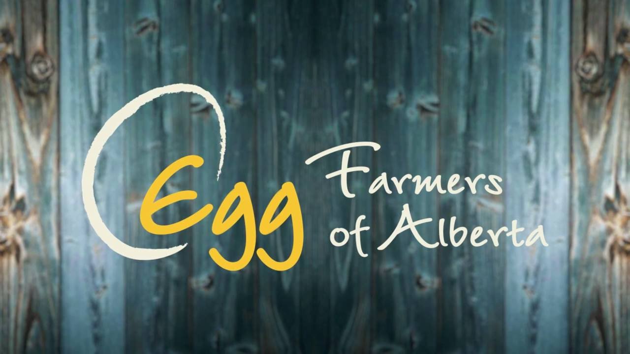 farmers market Being an Egg Farmer