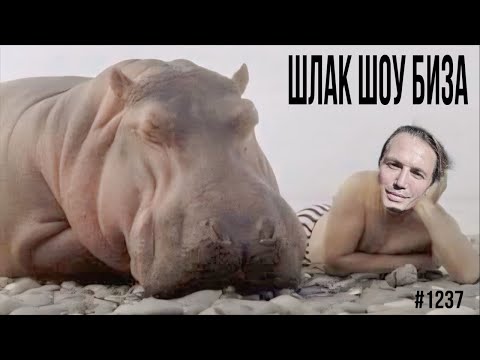 Маша Малиновская  на Донбасе-зачем и кому это надо ?|Кеосаян,Тутта Ларсен,Володин, Орбакайте .