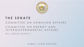 HWN-EIG, HWN, HWN-HOU, HOU DEFER Public Hearings 02-04-2025