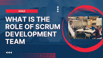 What is the role of Scrum Development Team?
