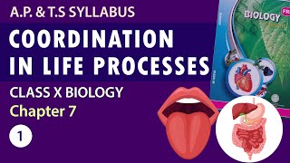 Class 10 In Life Processes In Telugu 10Th Biology Chapter 7 Ap Ts Syllabus Part-1
