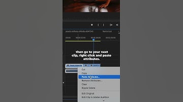 How to Copy and Paste Effects in Premiere Pro. Quick Editing Tip #shorts