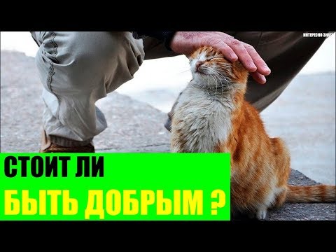 Стоит ли быть добрым?