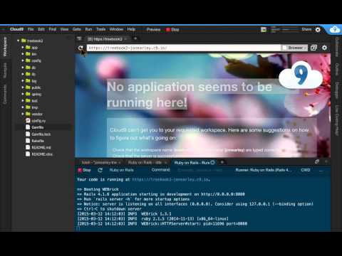 Learn to Build a Web Application: Cloud9 Run Project