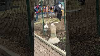 IMG 0115 2