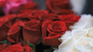 Советы флористов какие цветы можно дарить женщинам на 8 марта
