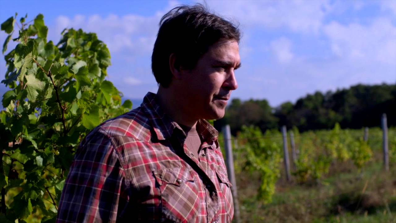 McGregor Vineyard Winery of the Finger Lakes YouTube