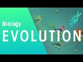 Darwin's Finches and the Evolution of Natural Selection
