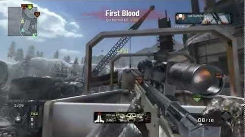 No Scope On ARRAY - COD Black Ops