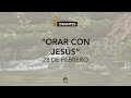 "Orar con Jesús" | Reflexiones orantes