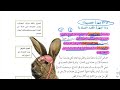 شرح درس الحركة والإحساس علوم سادس ابتدائي 