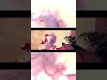 【Aメロ】 吸愛 -kyuai-【亡き王女の為のセプテット】 #東方 #レミリア #東方アレンジ #亡き王女の為のセプテット #東方ボーカル #shorts