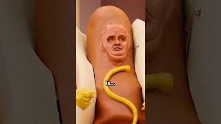 The Meaning of Life (According to Mother Hotdog)