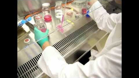 PLGA-nanodiamond membranes - Video abstract: 26665