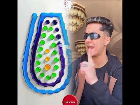 مين عندو الأخت دي ابودم خفيف