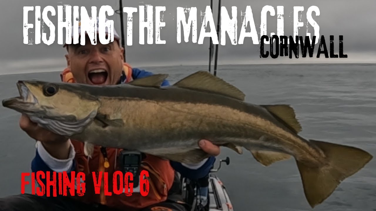 POLLOCK FISHING CORNWALL - ENCOUNTER WITH FISHERIES PATROL BOAT - BIG POLLOCK & BASS - THE MANACLES