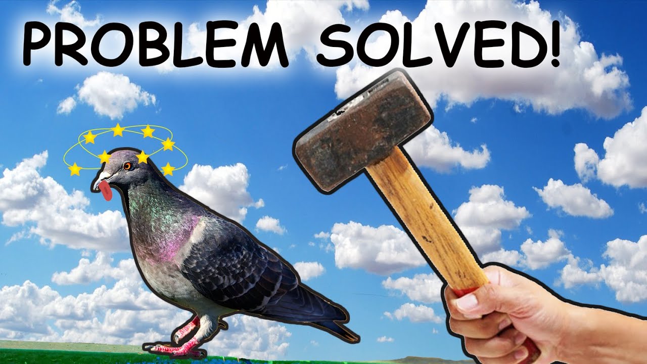 How To Get Rid Of Pigeons In 10 Minutes (Natural Solution) - Extended Version