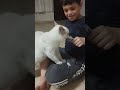 غيث عم يطعمي القطه 😍😍 نطيت عليه 😱😱 #غيث #ملهم