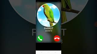 Pet Fake incoming calls screenshot 2