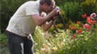 How to do amazing garden photography in 15 minutes - Week 63