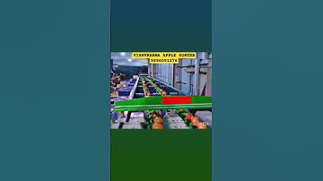 VISHVKARMA APPLE SORTER +91 #4lineapplegradingmachine #doublelineapplegradingmachine 9896091276