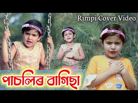    Rimpi Cover Video  Telsura Video  Voice Assam Video Song